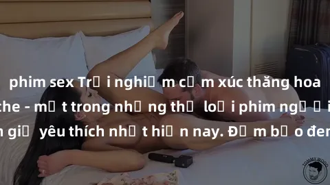 phim sex Trải nghiệm cảm xúc thăng hoa với jav SM không che - một trong những thể loại phim người lớn được khán giả yêu thích nhất hiện nay. Đảm bảo đem lại sự hấp dẫn, kích thích tối đa cho người xem
